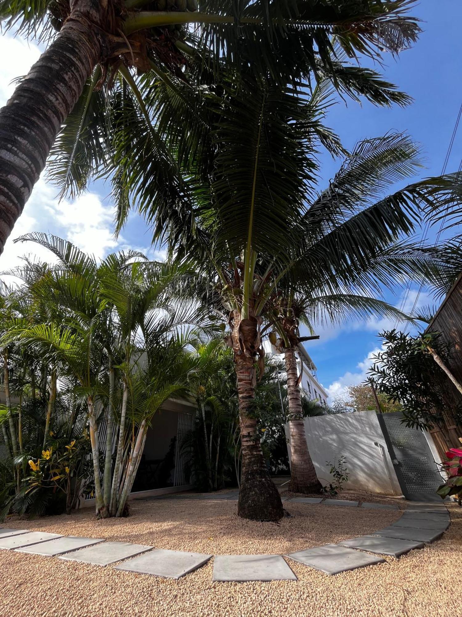Summerdays Studios Coteau Raffin Exterior foto